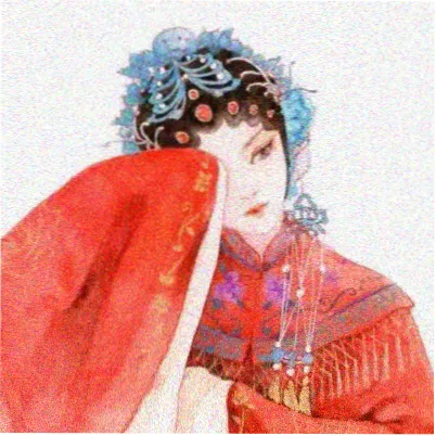 观众木棉的头像